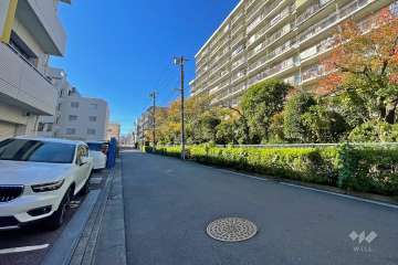 敷地南東側の前面道路（北東側から）