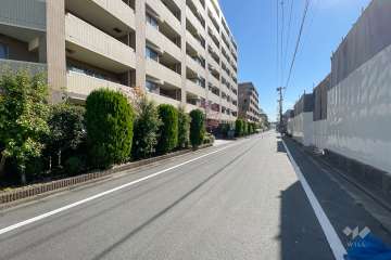 敷地西側の前面道路（北側から）
