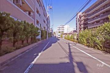 敷地南側の前面道路(西側から)