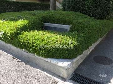 敷地入り口にあるネームプレート