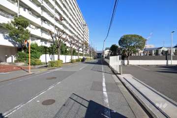 敷地南側の前面道路（西側から）