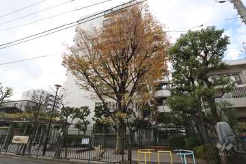 ルネ蒲田ガーデンステイツの外観(北東側から)　　