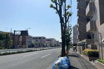敷地北東側の前面道路（北西側から）