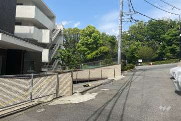 敷地東側の前面道路（南側から）