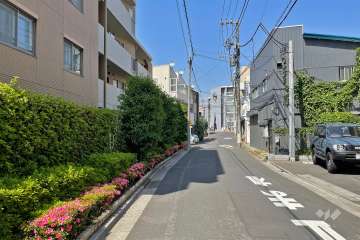 敷地南東側の前面道路（南西側から）