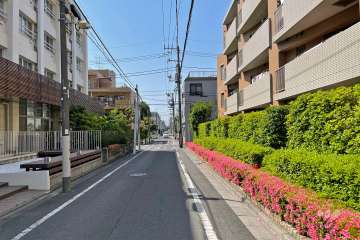敷地南西側の前面道路（南東側から）