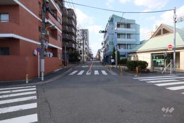 敷地北東側の前面道路（南東側から）