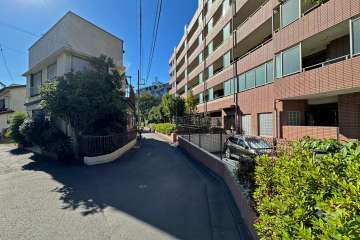 敷地東側の前面道路（北側から）