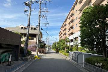 敷地西側の前面道路(南側から)