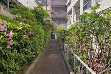 敷地内の通路