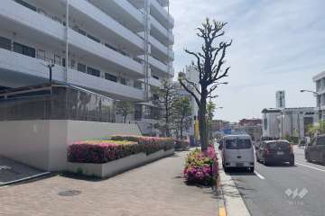 敷地北西側の前面道路　
