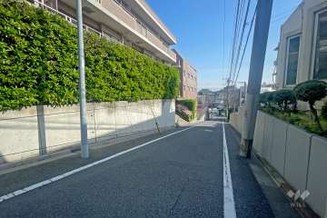 敷地西側の前面道路