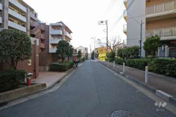 敷地北東側の前面道路（南東側から）