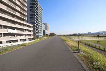 敷地の南側前面道路