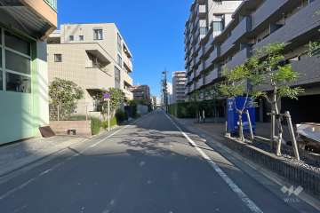 敷地北側の前面道路（西側から）