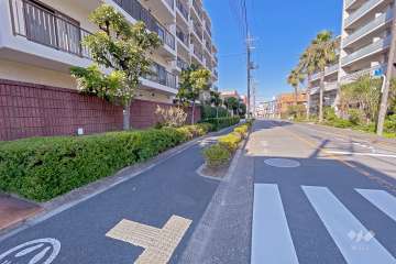 敷地東側の前面道路（南側から）