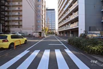 敷地西側の前面道路(北側から)