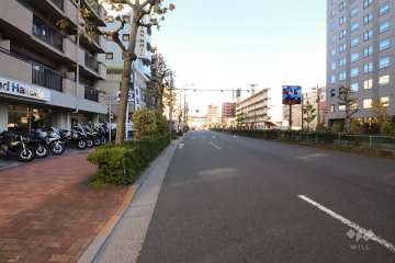 敷地南側の前面道路(西側から)