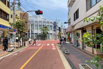 敷地北側の前面道路（西側から）