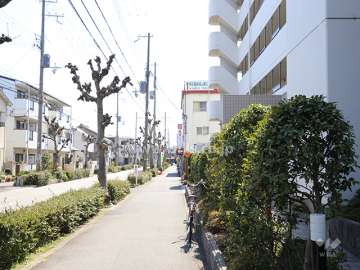 敷地北側、道路に面して植栽スペースが設けられています。