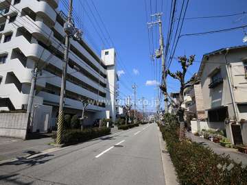 敷地北側は街路樹が並ぶ通りに面しています。