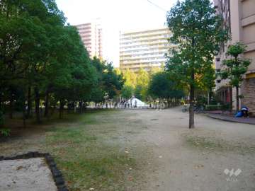 共用部分。木々が多く、奥は公園になっています。