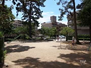 敷地の北西側には、松林がきれいな公園があります。