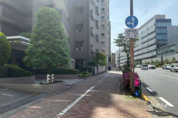 敷地北西側の前面道路（北東側から）