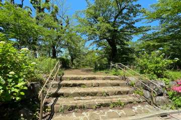 道路を挟んだ西側に公園があります。