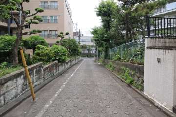 敷地北側の前面道路
