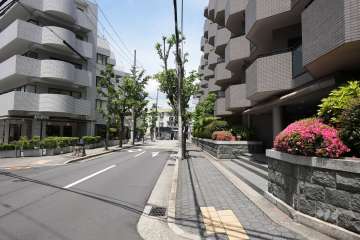 敷地南西側の前面道路（南側から）