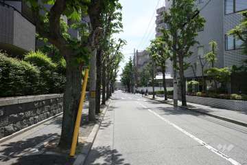 敷地南西側の前面道路（北西側から）