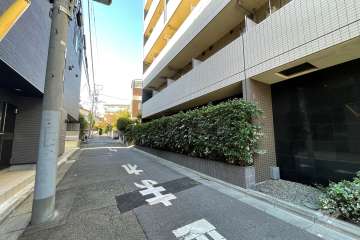 敷地の南側前面道路（東側から）