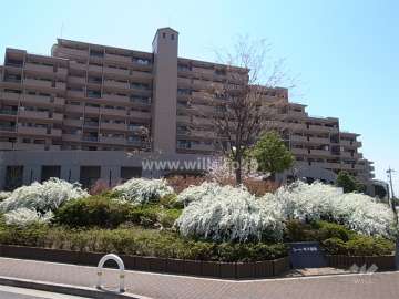 敷地内には植栽スペースが多く取られています。