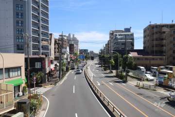 敷地東側の前面道路(北側から)