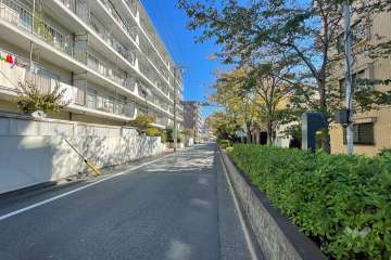 敷地南側の前面道路（西側から）