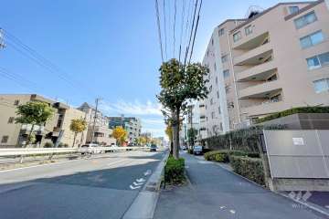 敷地東側の前面道路（北側から）