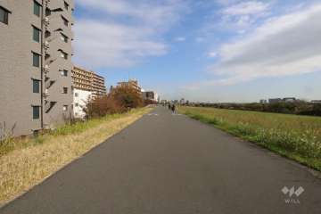 敷地南側の前面道路（西側から）
