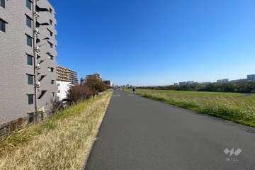 敷地南側の前面道路（西側から）
