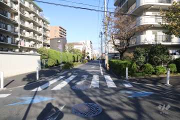 敷地南側の前面道路(西側から)