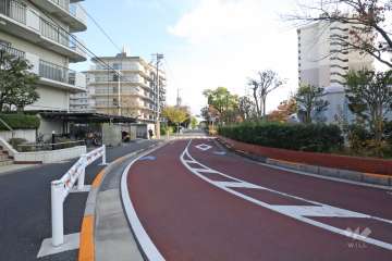 敷地西側の前面道路(北側から)