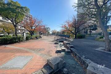 敷地西側の前面道路（北側から）