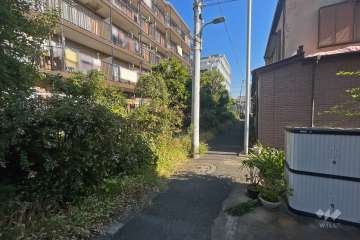 敷地南西側の前面道路（北西側から）