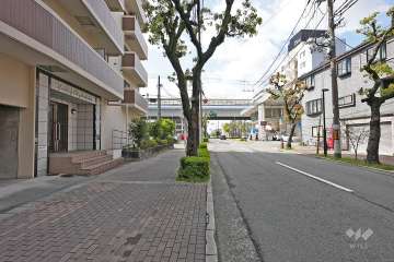 敷地西側の前面道路（北側から）