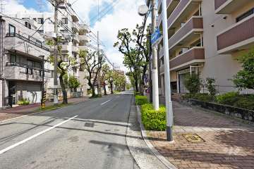 敷地西側の前面道路（南側から）