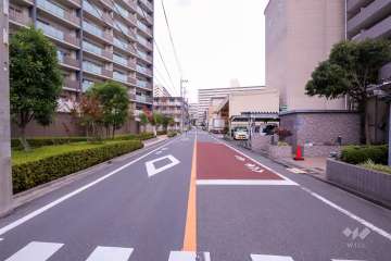 敷地南側の前面道路(西側から)