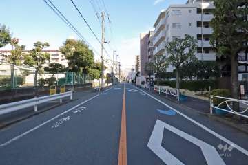敷地北側の前面道路（西側から）