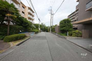 敷地北側の前面道路（西側から）