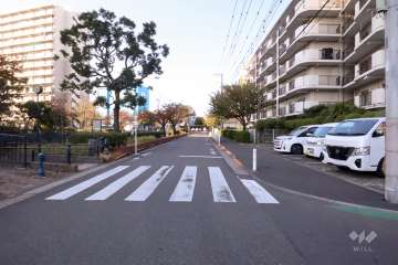 敷地西側の前面道路(南側から)