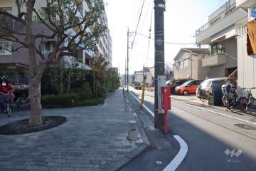 敷地西側の前面道路（北側から）